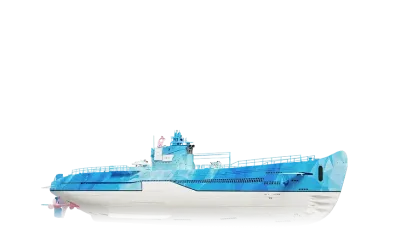 BA Arona's Whale