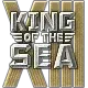 海上之王XIII决赛入围者