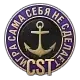 CST参与者