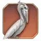 龙卷风：鹈鹕